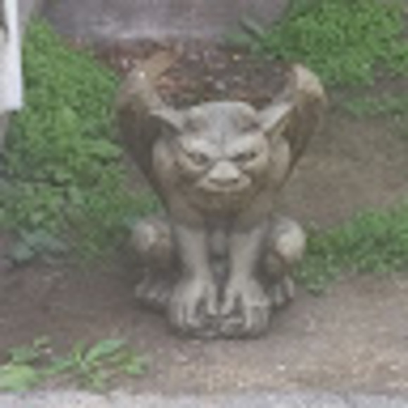 Meet your Posher, Steven - Picture 1 of 1